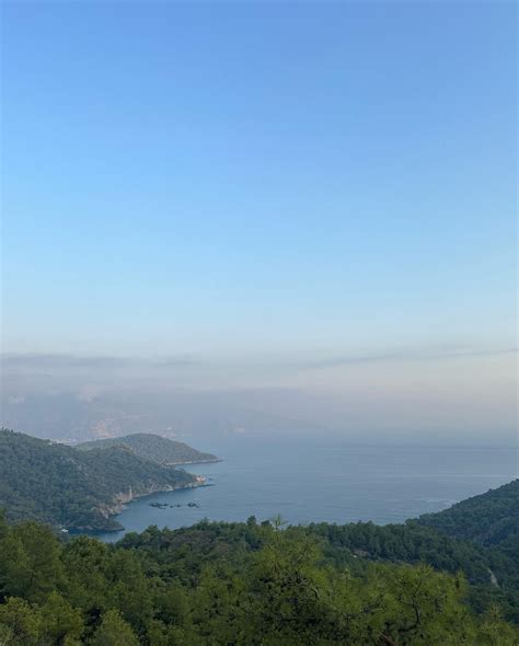 Hitomi Mochizuki | What emotional regulation can look like for me Shame