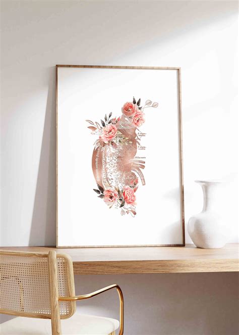 Kidneys Anatomy Art Urologist Print Nephrology Art Urinary - Etsy