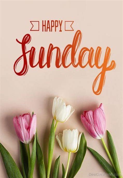 560+ Sunday Images, Pictures, Photos | Desi Comments