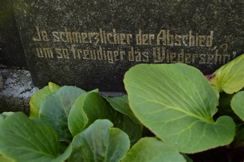 Poemas del río Wang: Cemetery on the bank of the Vltava