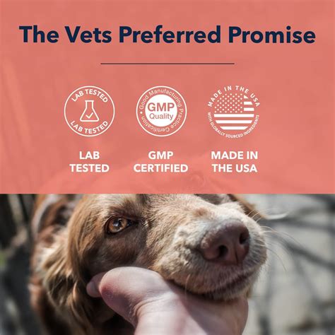 What Helps With Runny Eyes In Dogs