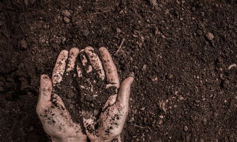 How to Make Loamy Soil and Why You'll Want it! | Contractor Quotes