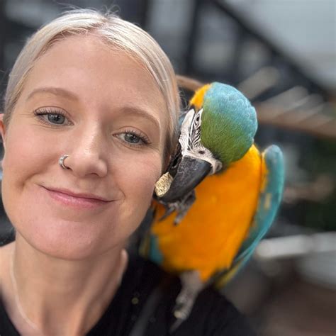 New train links will soon connect Thornton NSW to the city 20