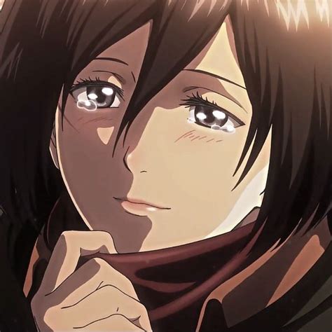 mikasa crying icon | Conseils instagram, Attaque des titans, Instagram
