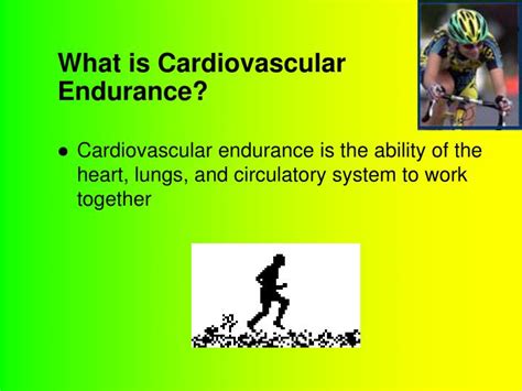PPT - What is Cardiovascular Endurance? PowerPoint Presentation, free ...