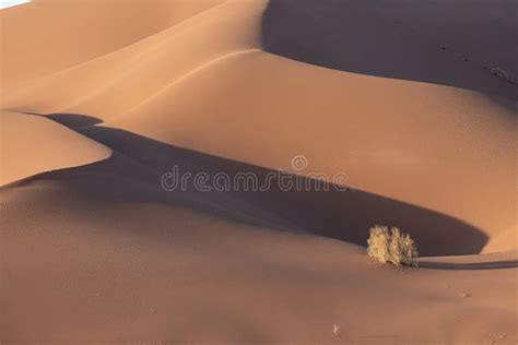 Sand dunes in lut desert stock image. Image of hill - 169403467