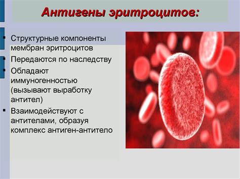 Основы современной иммуногематологии - online presentation