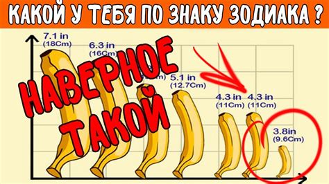 Как зависит длина члена от знака зодиака🔴 Рейтинг пенисов по гороскопу ...