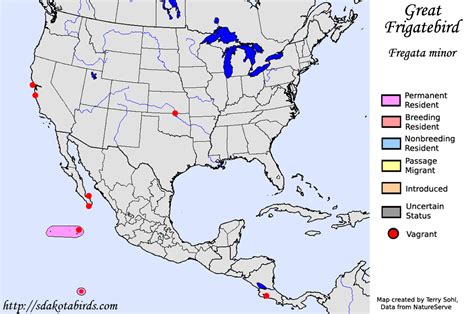 Great Frigatebird - Species Range Map