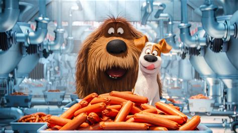 The Secrete Life of Pets Animated Movie, HD Movies, 4k Wallpapers, Images, Backgrounds, Photos ...