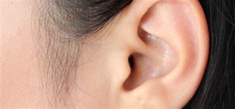 ALL ABOUT THE EARS - Welthi | Healthcare Tips and News | Daily Health ...