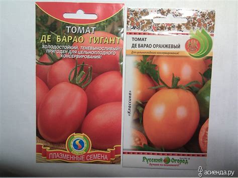 Томат уральский гигант описание сорта фото отзывы