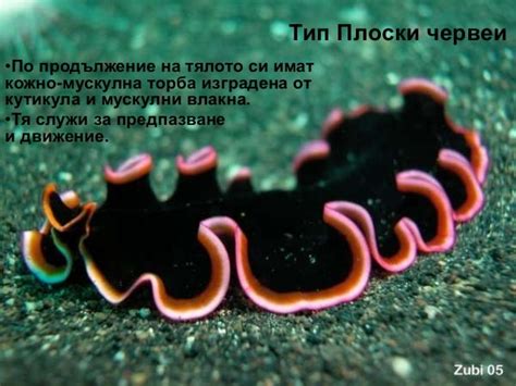 ч е р в е и