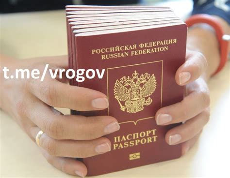 Владимир Рогов: Где запорожцы могут получить гражданство России - Лента ...