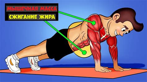 Домашние тренировки. Схемы и Видео.