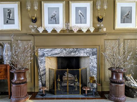 The Martha Stewart Blog : Blog Archive Time to Gather Pussy Willows