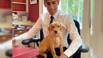 Rishi Sunak has got a new dog – here’s what Twitter thinks | indy100