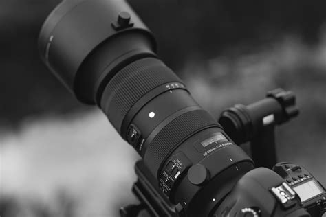 Sigma 60-600 4.5-6.3 Sport - Dariusz Breś Fotografia