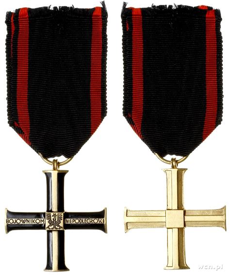 Krzyż Niepodległości, Polska
