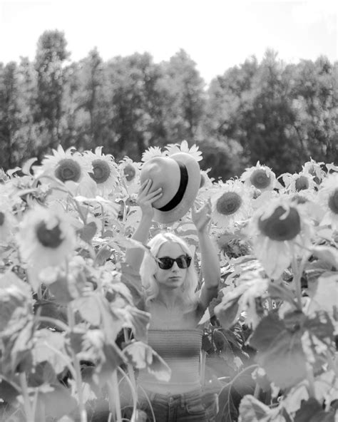 The Ups and Downs of Creating on Instagram • nicole rae