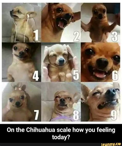 How Are You Feeling Today Meme Chart - Resume Themplate Ideas