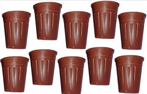 Plastic 8 Inch Terracotta Durable Nursery & Garden Pots at ₹ 40/piece ...