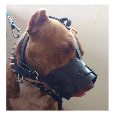 Focinheira Para Pit Bull