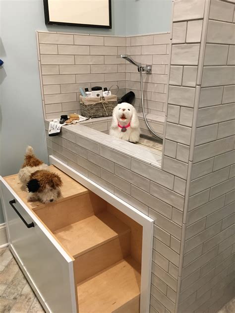 Discover 13 Dog Wash Stations and dog wash ideas | dog washing station