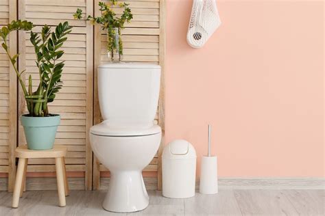 Plantas para lavabo - CazaModerna