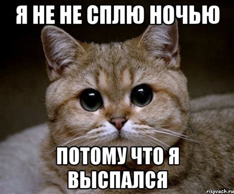 Я не не сплю ночью потому что я выспался, Мем Пидрила Ебаная - Рисовач .Ру