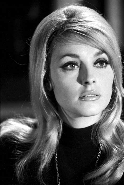 Download Sharon Tate - The Epitome of Sixties Glamour Wallpaper