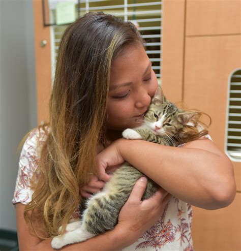 Surrendering A Cat