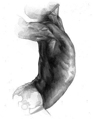 Анатомия для скульпторов ,художников. | Human art, Illustration, Artist