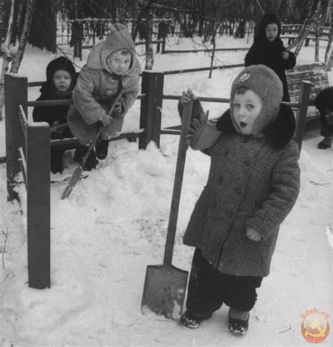 колготки
