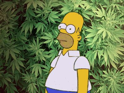 Purple Weed GIFs - Find & Share on GIPHY