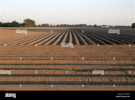 acker  holland stock photo alamy