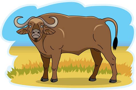 water buffalo cartoon  tony beane blog