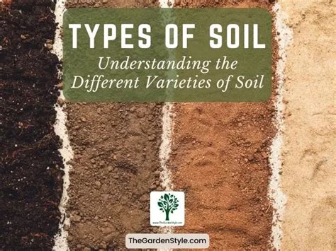 Types of Soil: Understanding the Different Varieties of Soil - The Garden Style