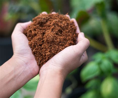 How To Make DIY Potting Mix For Easy Peat-Free Planting | Gardening