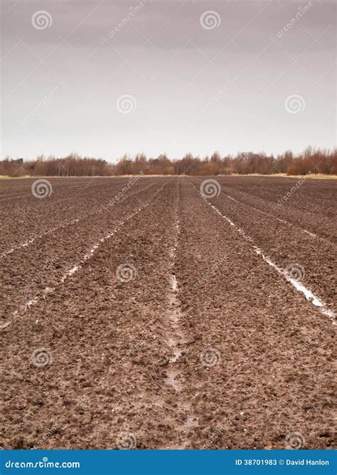 Tilled field in winter stock image. Image of field, winter - 38701983