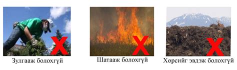 ЗӨВЛӨГӨӨ: Хашааны шарилж арилгах энгийн арга болон тайрах хугацаа - DOBU