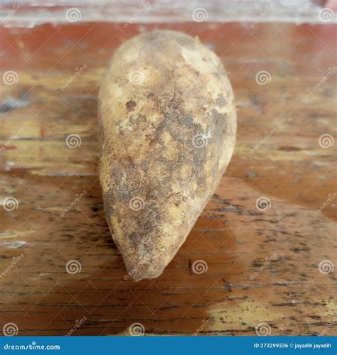 Ground cassava tubers stock photo. Image of carving - 273299336