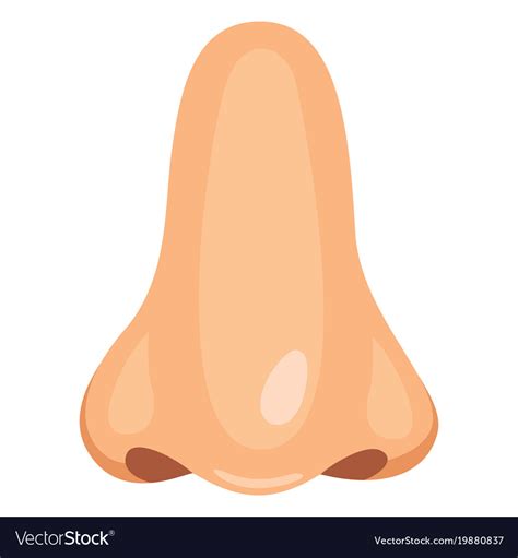 Nose Royalty Free Vector Image - VectorStock