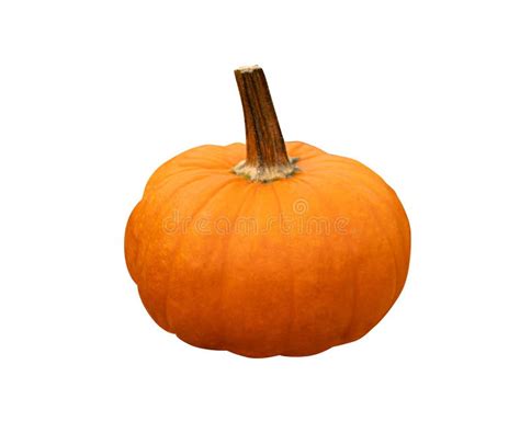pumpkin isolated  clipping path squash farm orange autumn