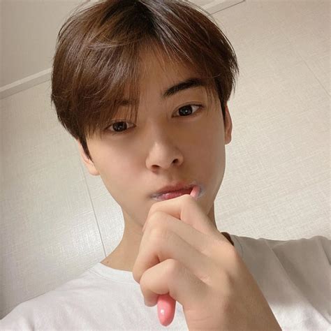 Cha Eun-woo - Biography, Height & Life Story | Super Stars Bio