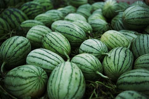 Nonami Takizawa Nude