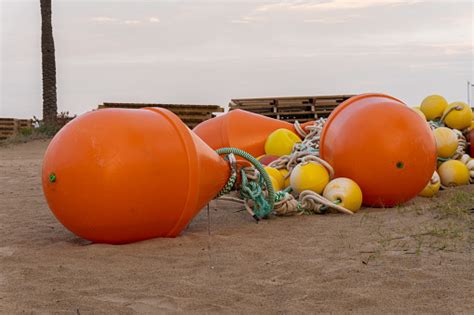 buoys   sizes stock photo  image  bay
