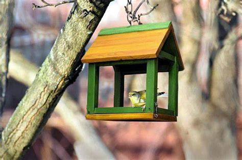 Как сделать кормушку для птиц своими руками?