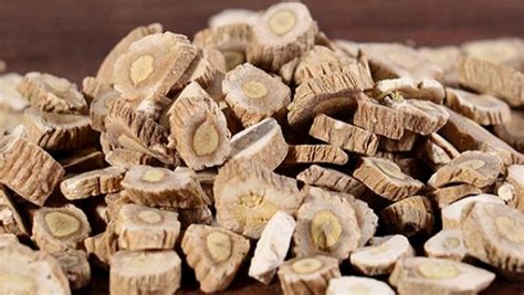 phong phong duoc pham tue tinh