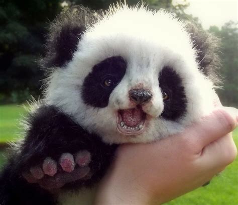 Cute Baby Animals Ever Wallpapers - Top Hình Ảnh Đẹp